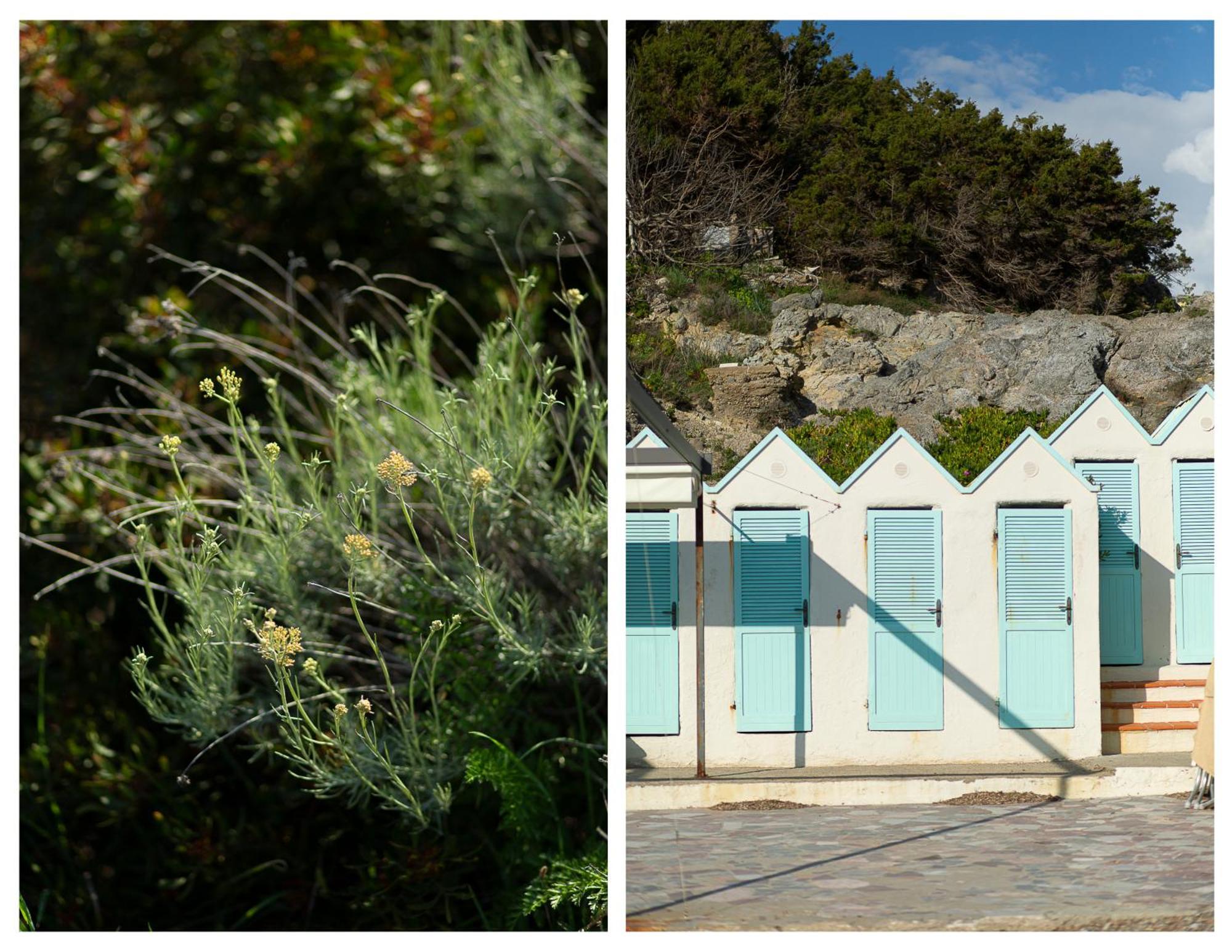 La Casa Di Marco, Holidays, Sea And Nature Montiano  Exterior photo